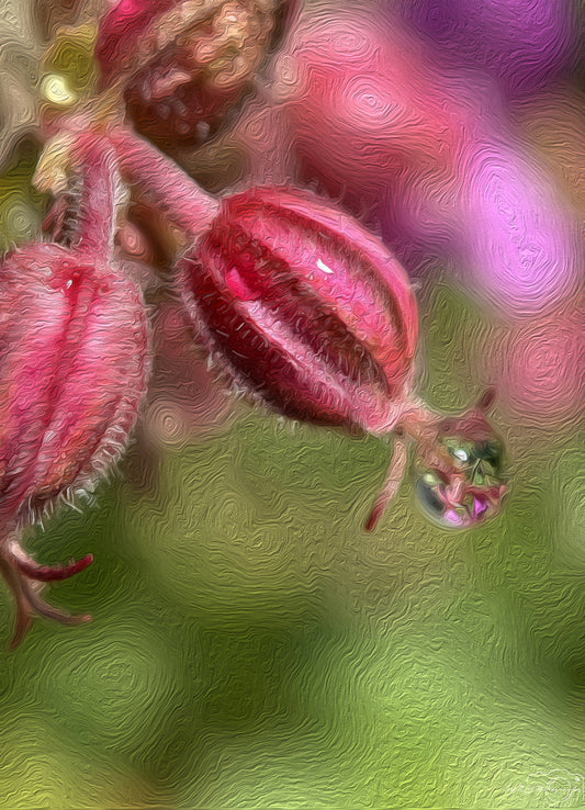 Digital Oil Painting - Superb Droplet V573