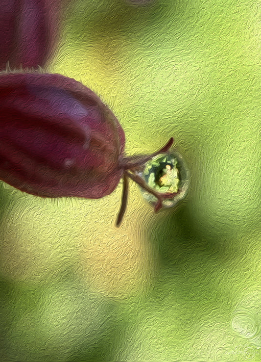 Digital Oil Painting - Superb Droplet V574