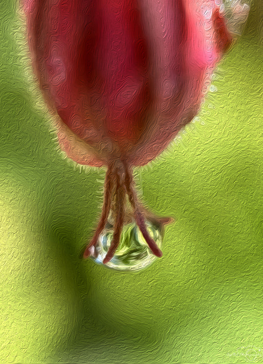 Digital Oil Painting - Superb Droplet V575