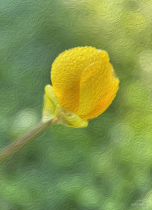 Digital Oil Painting - Superb Droplet V576