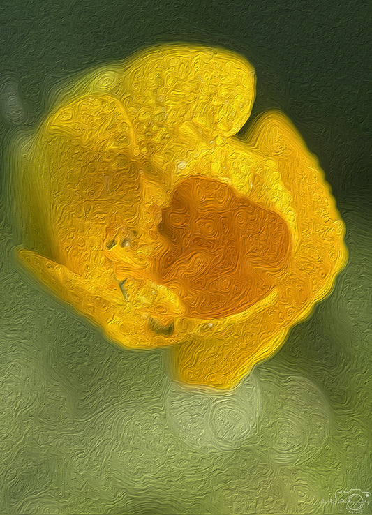 Digital Oil Painting - Superb Droplet V579