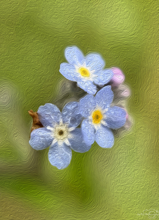 Digital Oil Painting - Superb Droplet V580
