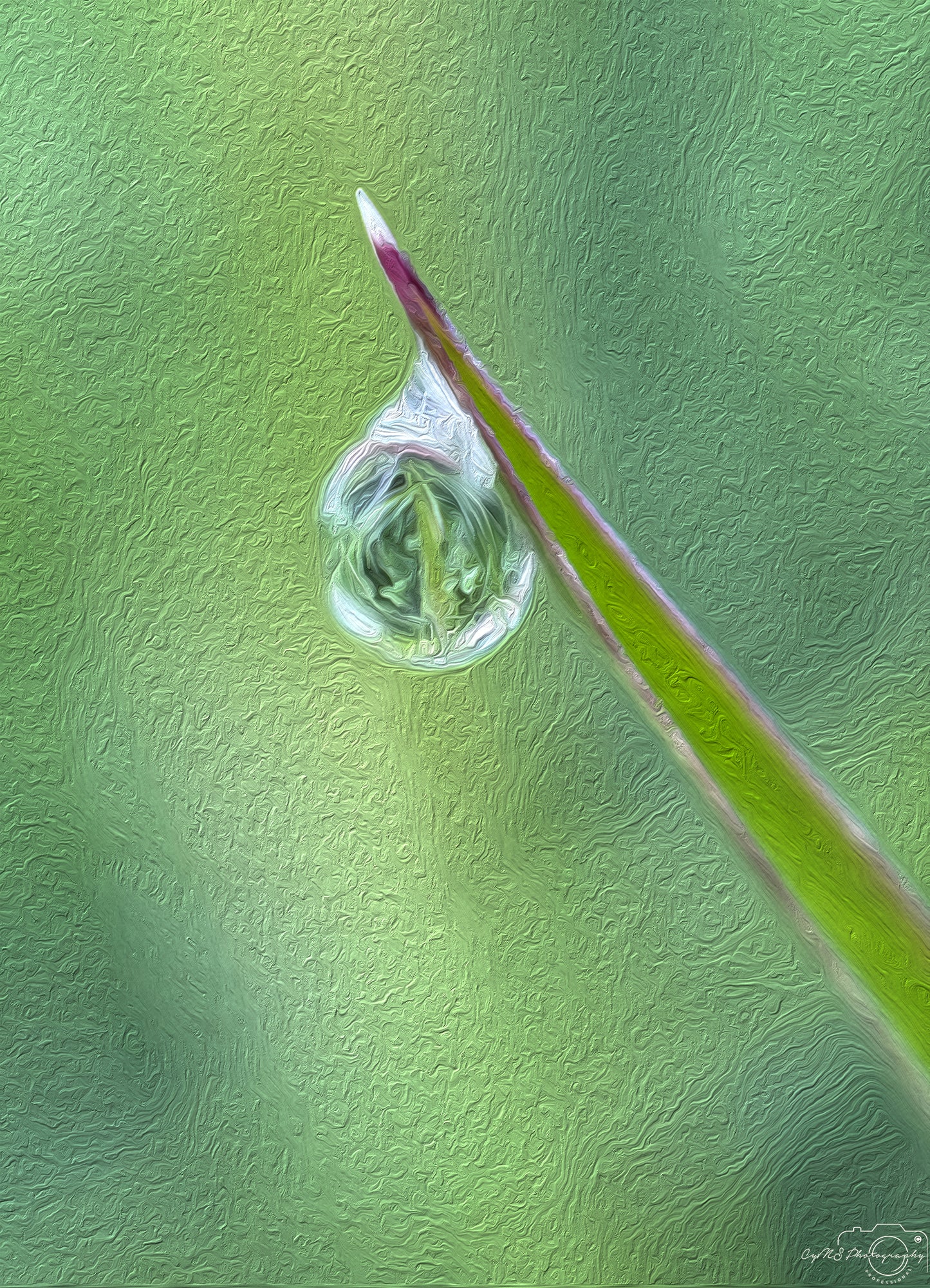 Beautiful water drop_V586_oil painting