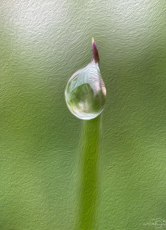 Digital Oil Painting - Superb Droplet V587
