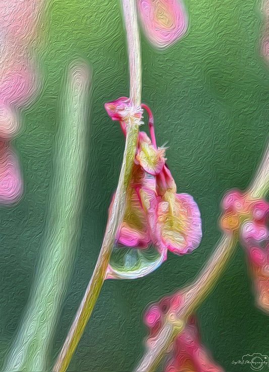 Digital Oil Painting - Superb Droplet V594