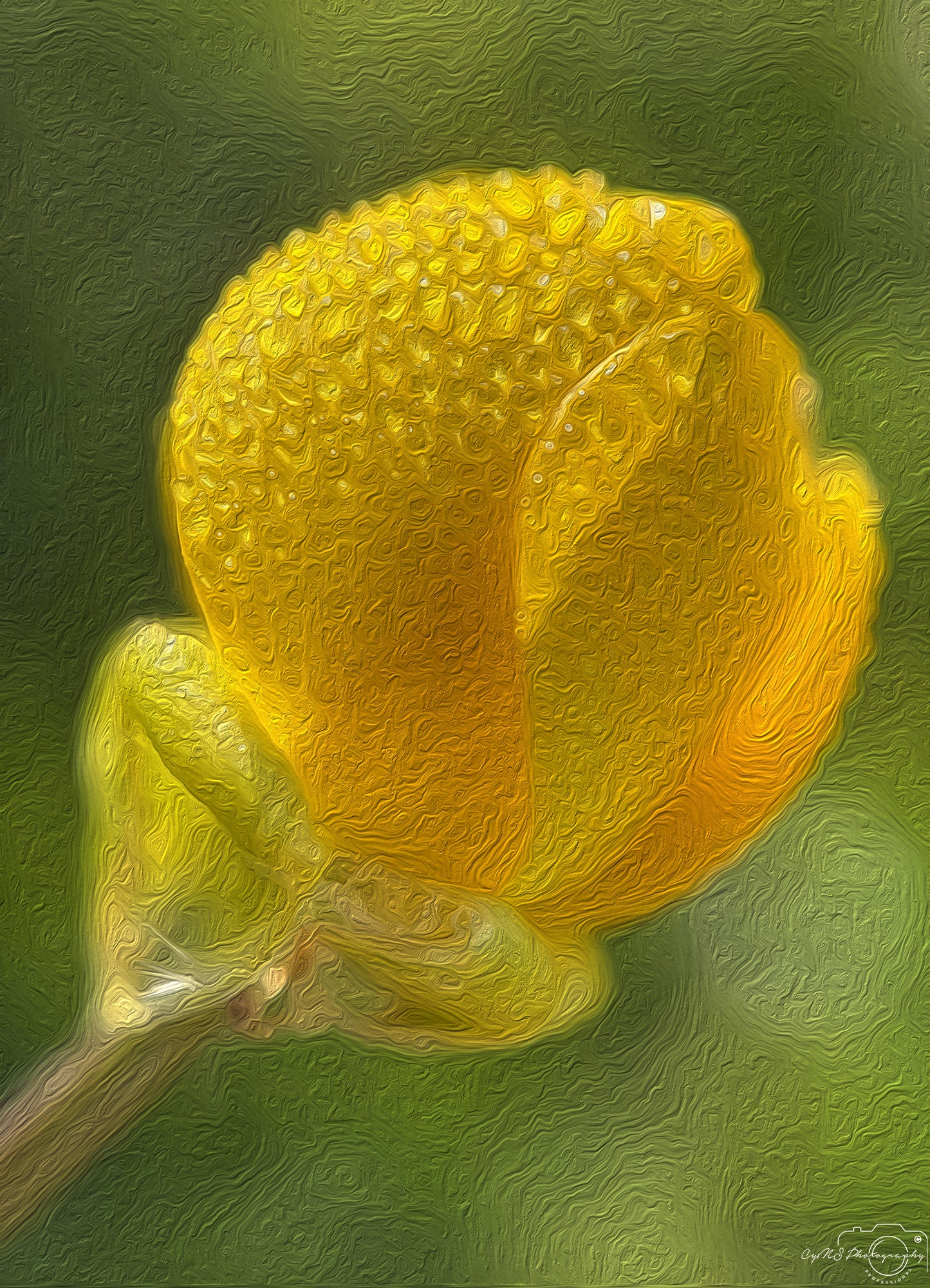 Beautiful water drop_V596_oil painting