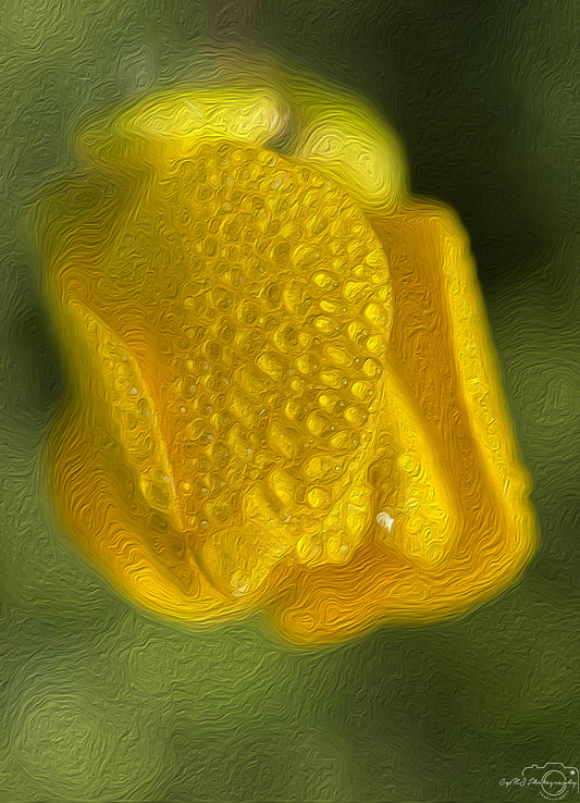 Digital Oil Painting - Superb Droplet V597