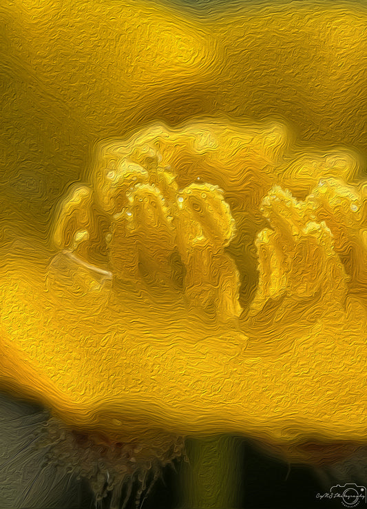 Digital Oil Painting - Superb Droplet V598