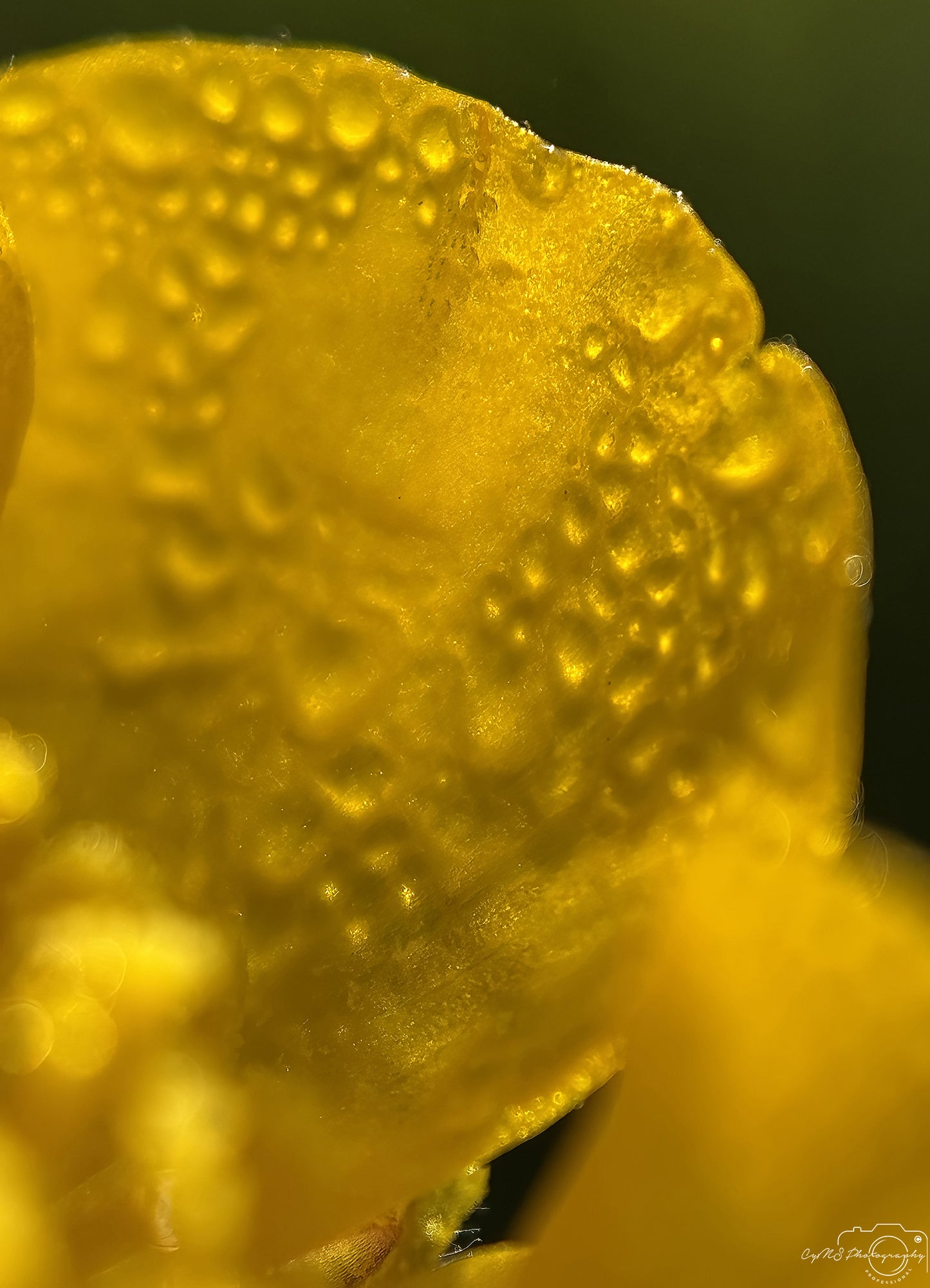 Beautiful water drop_V599