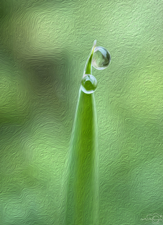 Digital Oil Painting - Superb Droplet V604