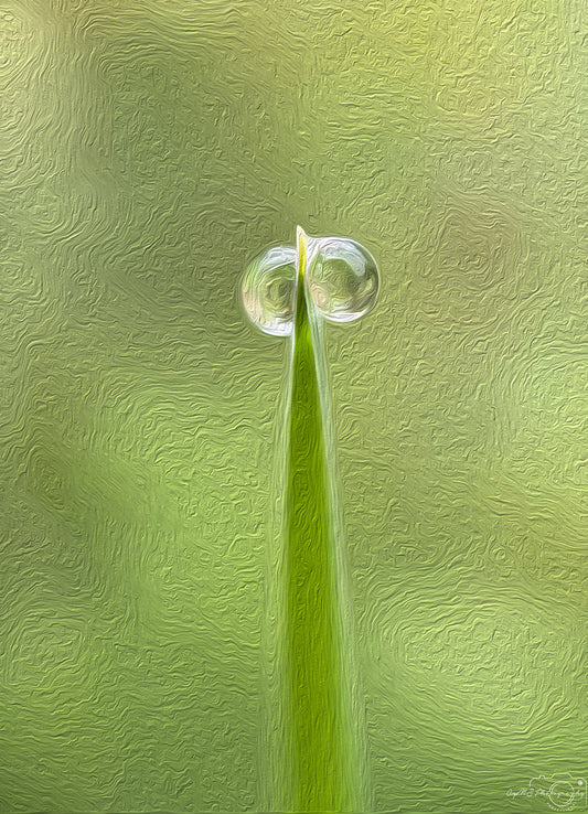 Digital Oil Painting - Superb Droplet V605