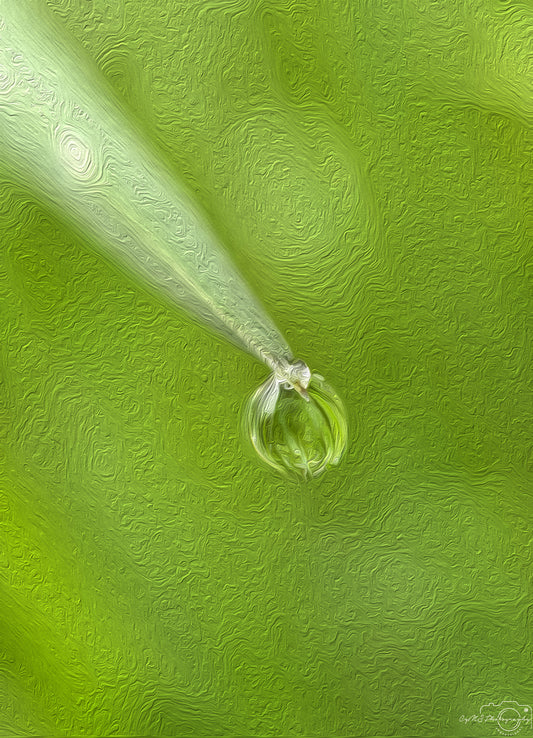 Digital Oil Painting - Superb Droplet V606