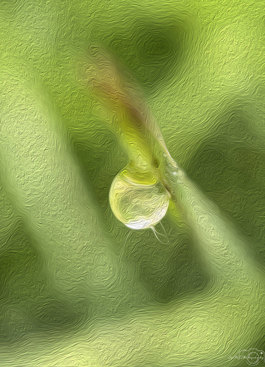 Digital Oil Painting - Superb Droplet V607