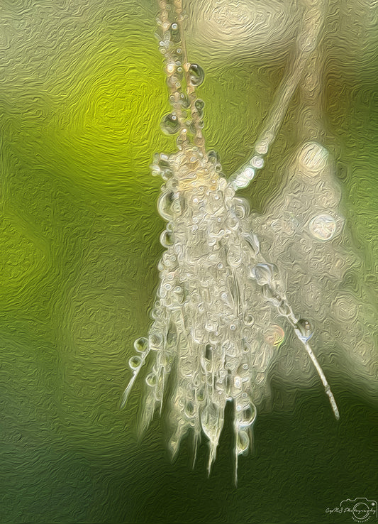Digital Oil Painting - Superb Droplet V614
