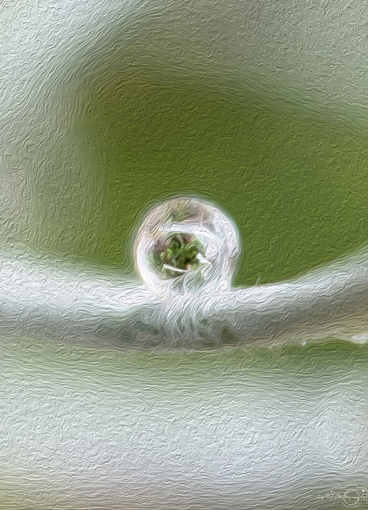Digital Oil Painting - Superb Droplet V618