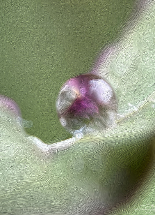 Digital Oil Painting - Superb Droplet V619