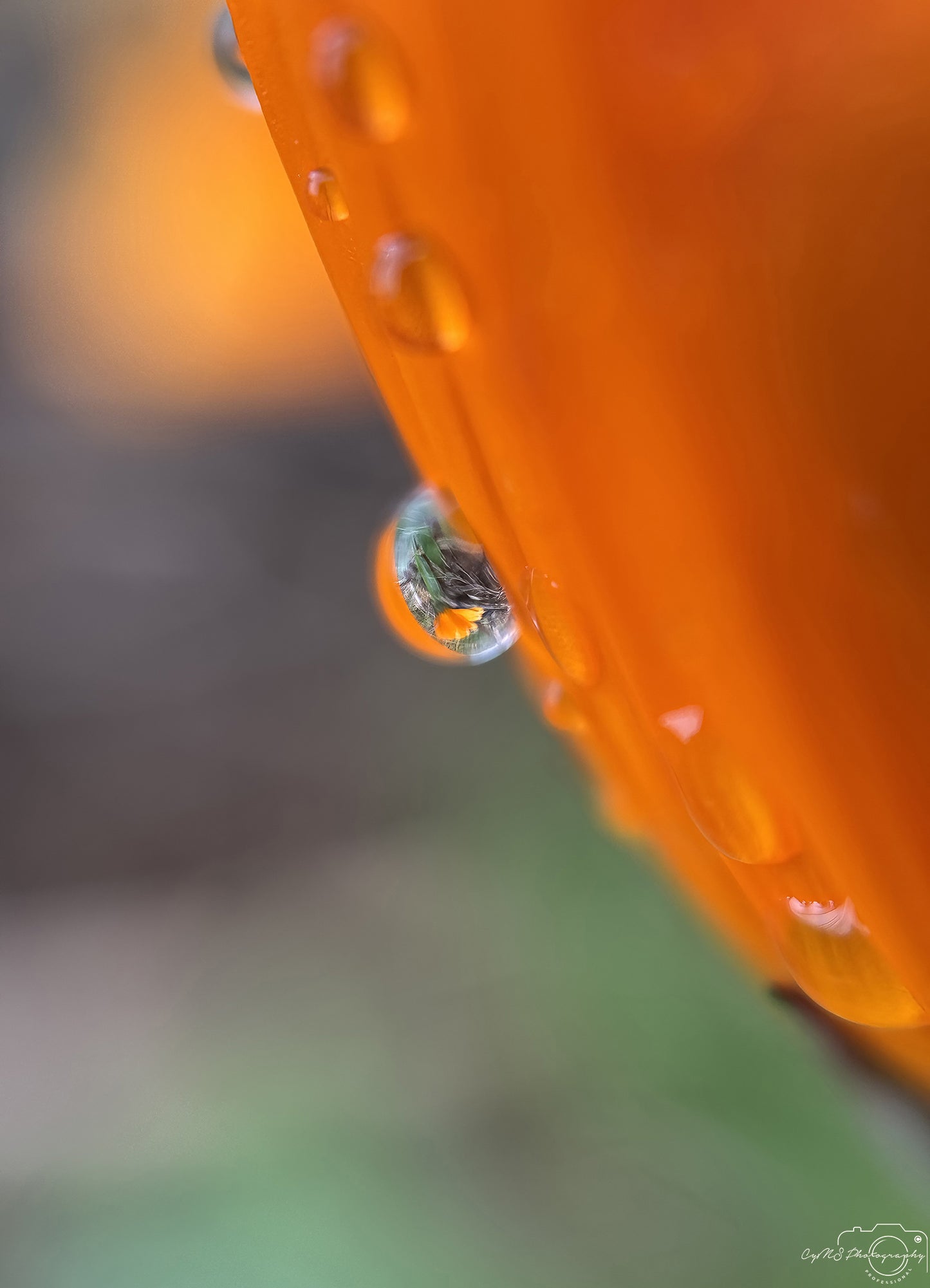 Beautiful water drop_V620