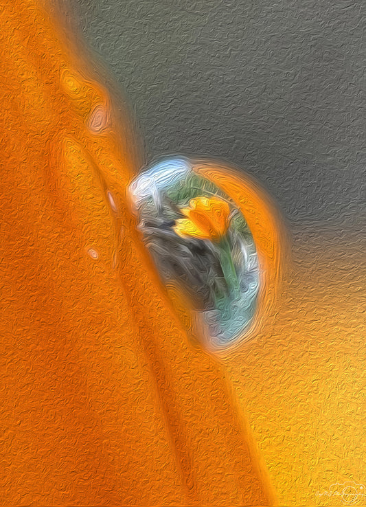Digital Oil Painting - Superb Droplet V623