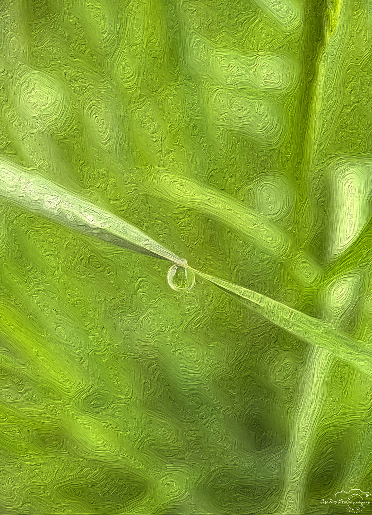 Beautiful water drop_V624_oil painting