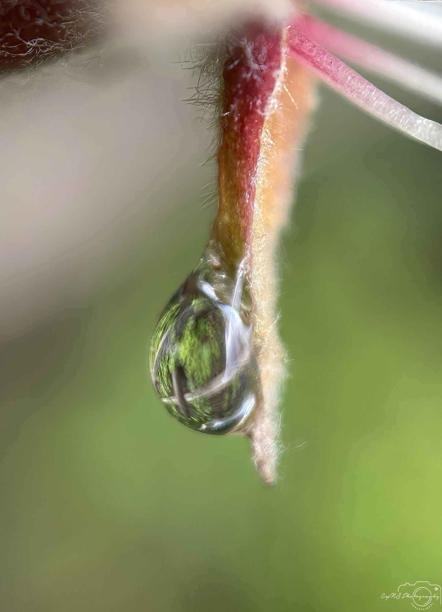 Beautiful water drop_V632