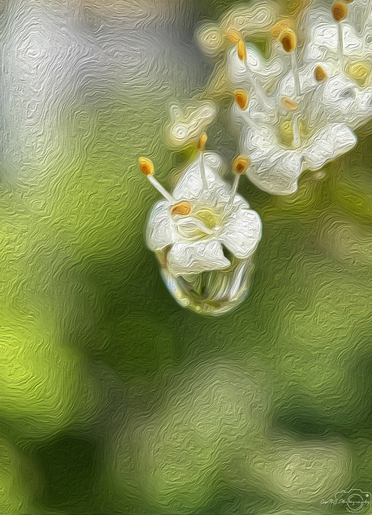 Digital Oil Painting - Superb Droplet V636