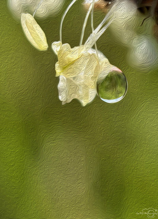 Digital Oil Painting - Superb Droplet V637