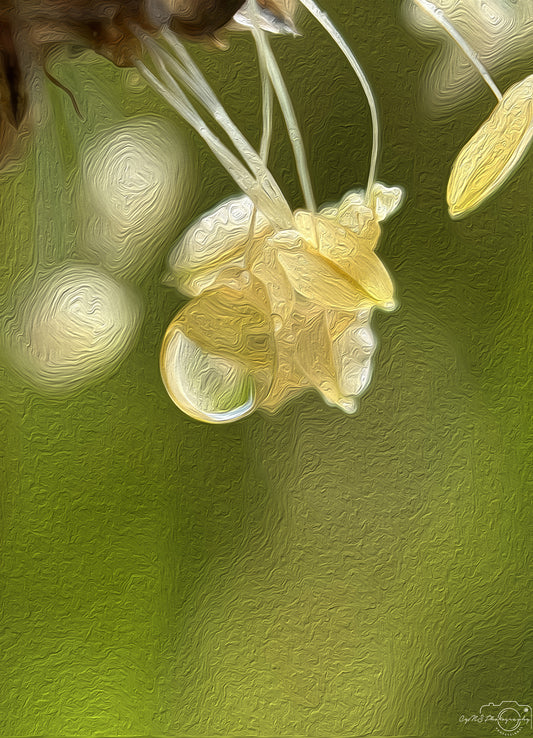 Digital Oil Painting - Superb Droplet V638
