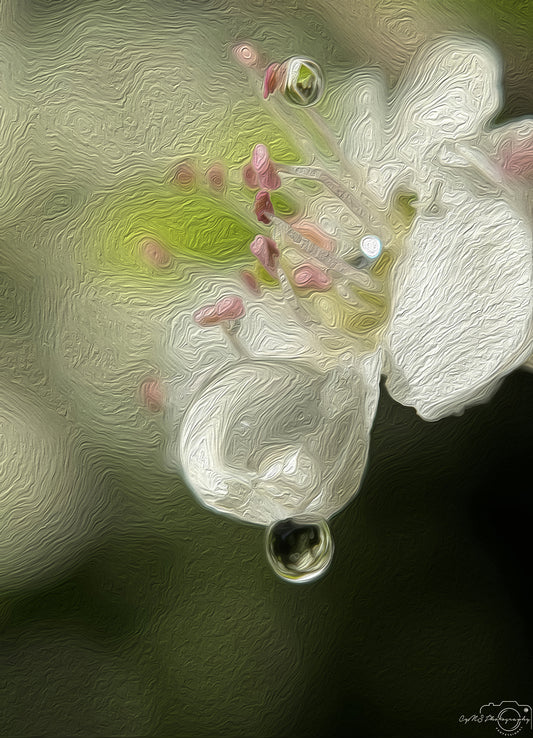 Digital Oil Painting - Superb Droplet V639