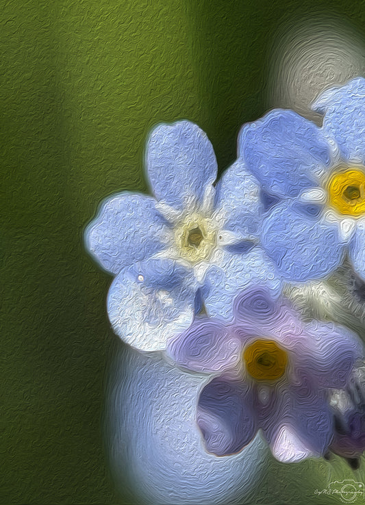 Digital Oil Painting - Superb Droplet V640