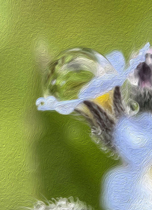 Digital Oil Painting - Superb Droplet V642