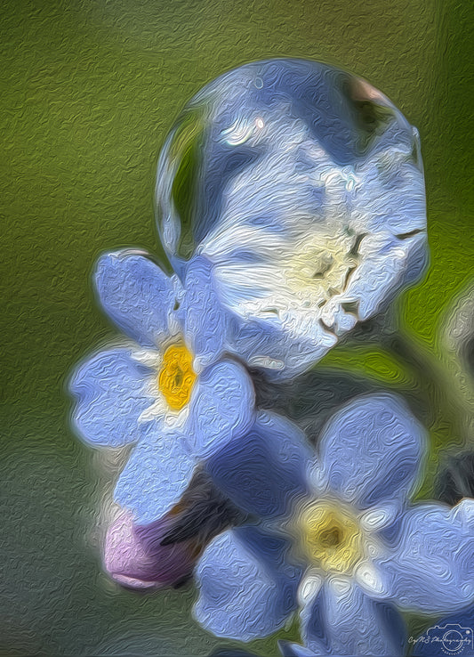 Digital Oil Painting - Superb Droplet V643