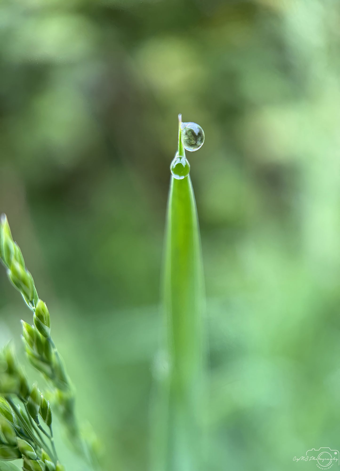 Beautiful water drop_V648