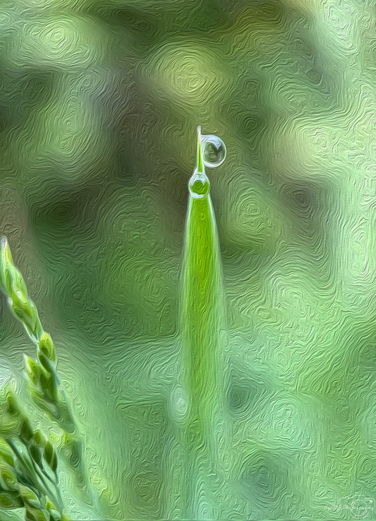 Digital Oil Painting - Superb Droplet V648