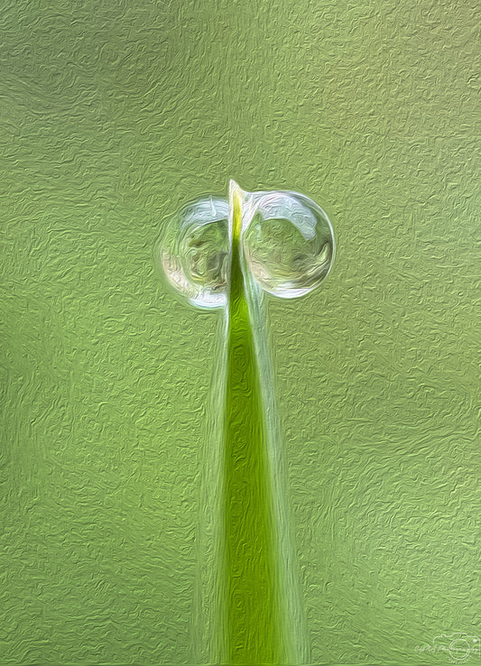 Digital Oil Painting - Superb Droplet V649