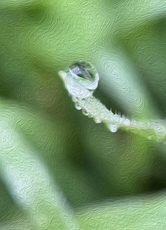 Digital Oil Painting - Superb Droplet V650
