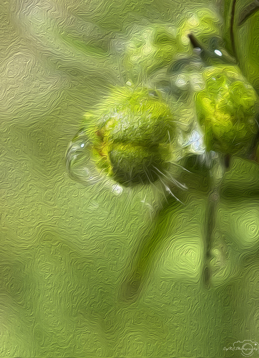 Digital Oil Painting - Superb Droplet V651