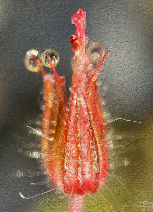 Digital Oil Painting - Superb Droplet V655