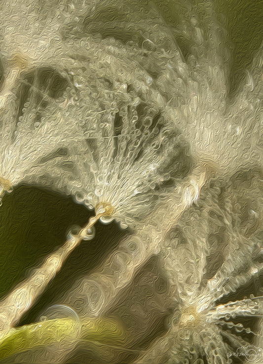 Digital Oil Painting - Superb Droplet V656