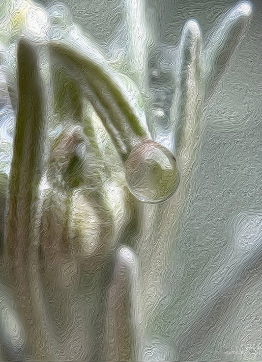 Digital Oil Painting - Superb Droplet V662