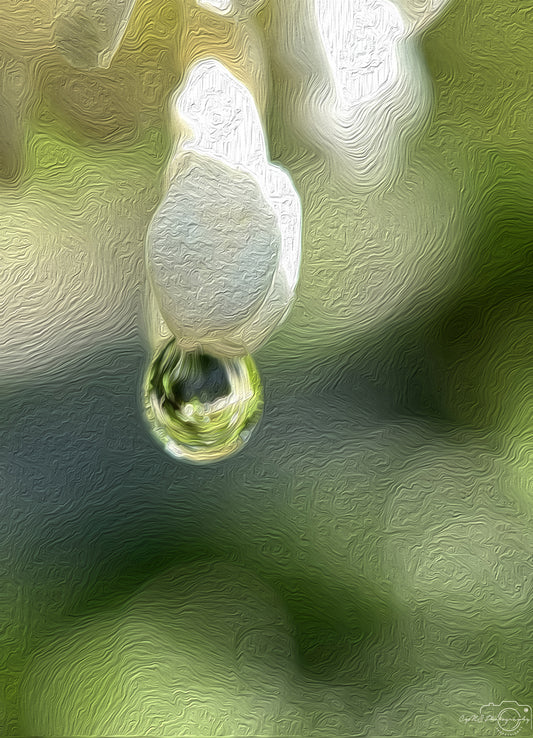 Digital Oil Painting - Superb Droplet V665