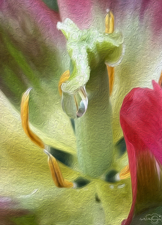 Digital Oil Painting - Superb Droplet V670