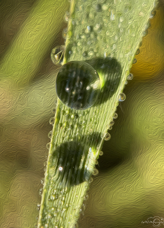 Digital Oil Painting - Superb Droplet V675