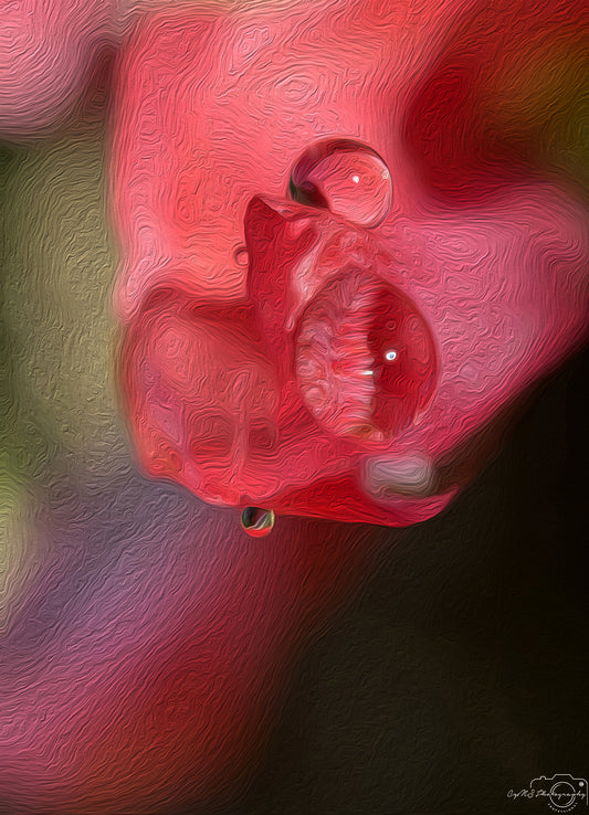 Digital Oil Painting - Superb Droplet V678