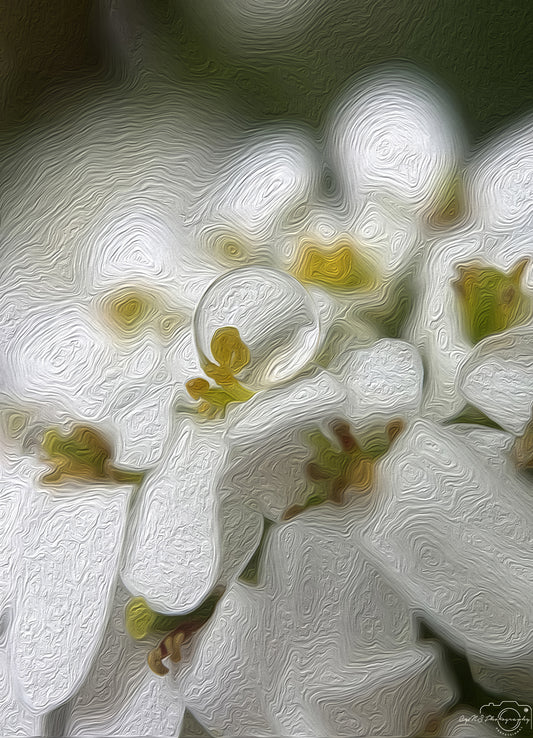 Digital Oil Painting - Superb Droplet V681