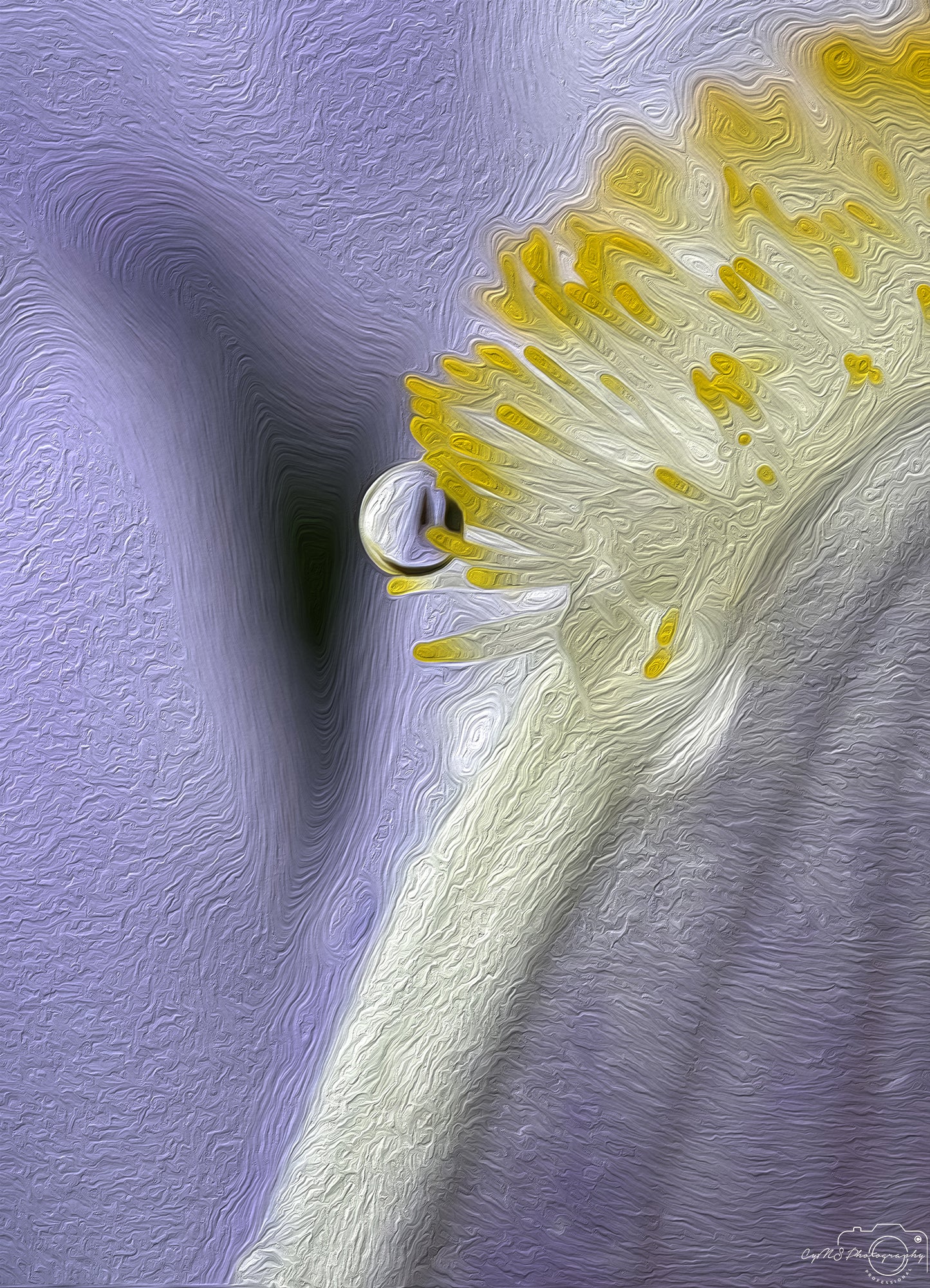 Beautiful water drop_V684_oil painting