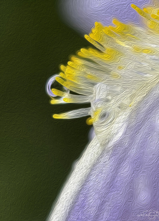 Digital Oil Painting - Superb Droplet V686