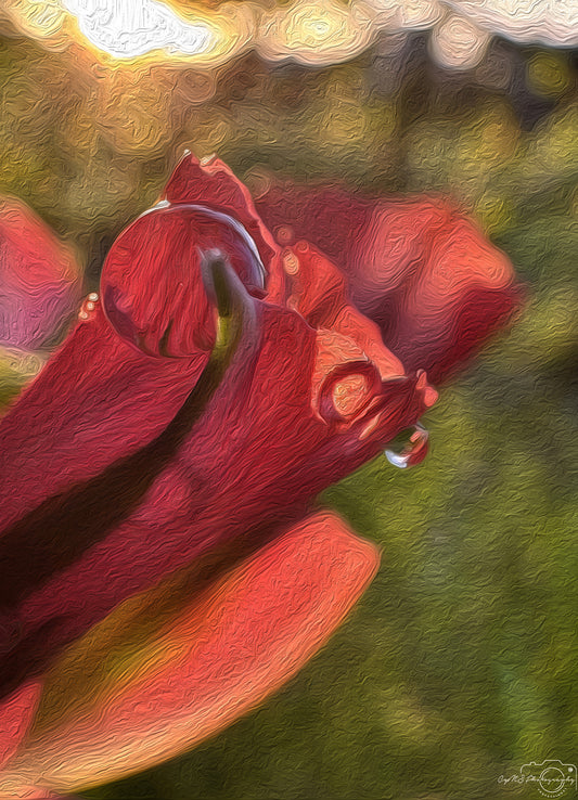 Digital Oil Painting - Superb Droplet V689