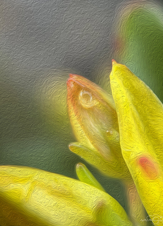 Digital Oil Painting - Superb Droplet V692