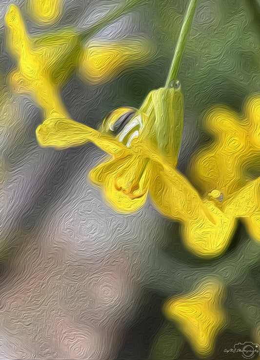 Digital Oil Painting - Superb Droplet V693