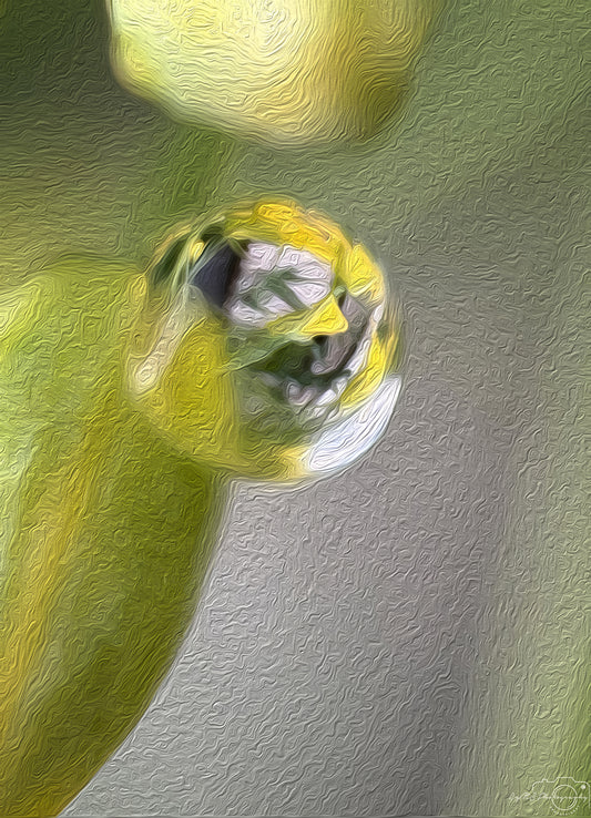 Digital Oil Painting - Superb Droplet V694